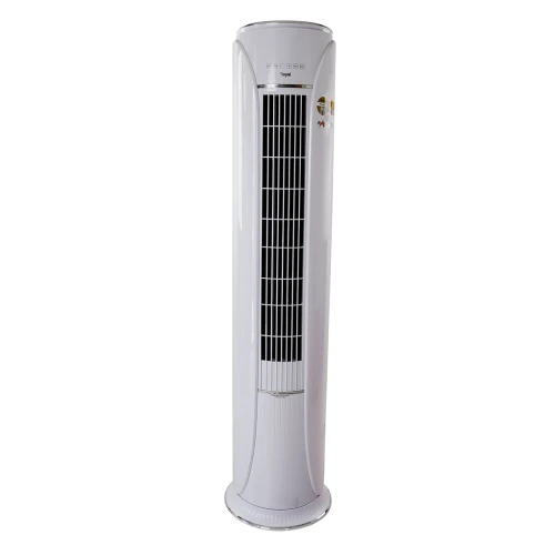 Royal 2 HP Floor Standing AC (EFW18MBX-INV)